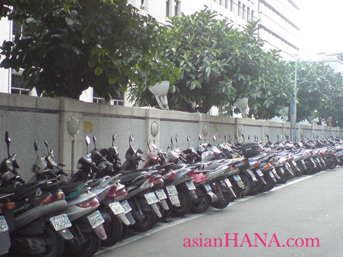 http://www.asian-hana.com/bicycle2.jpg